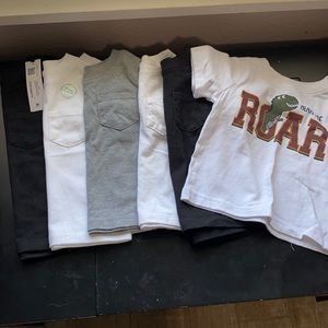 Bundle (6) Garanimals solid tees